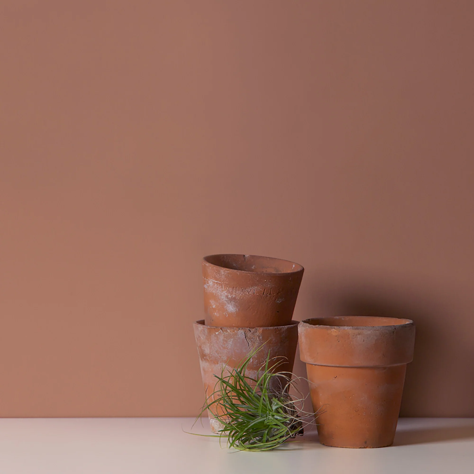 Little Knights - Baked Clay Burnt Pastel Red - Matte/Eggshell/Silk/Satin/Gloss Interior Paint - Image 3