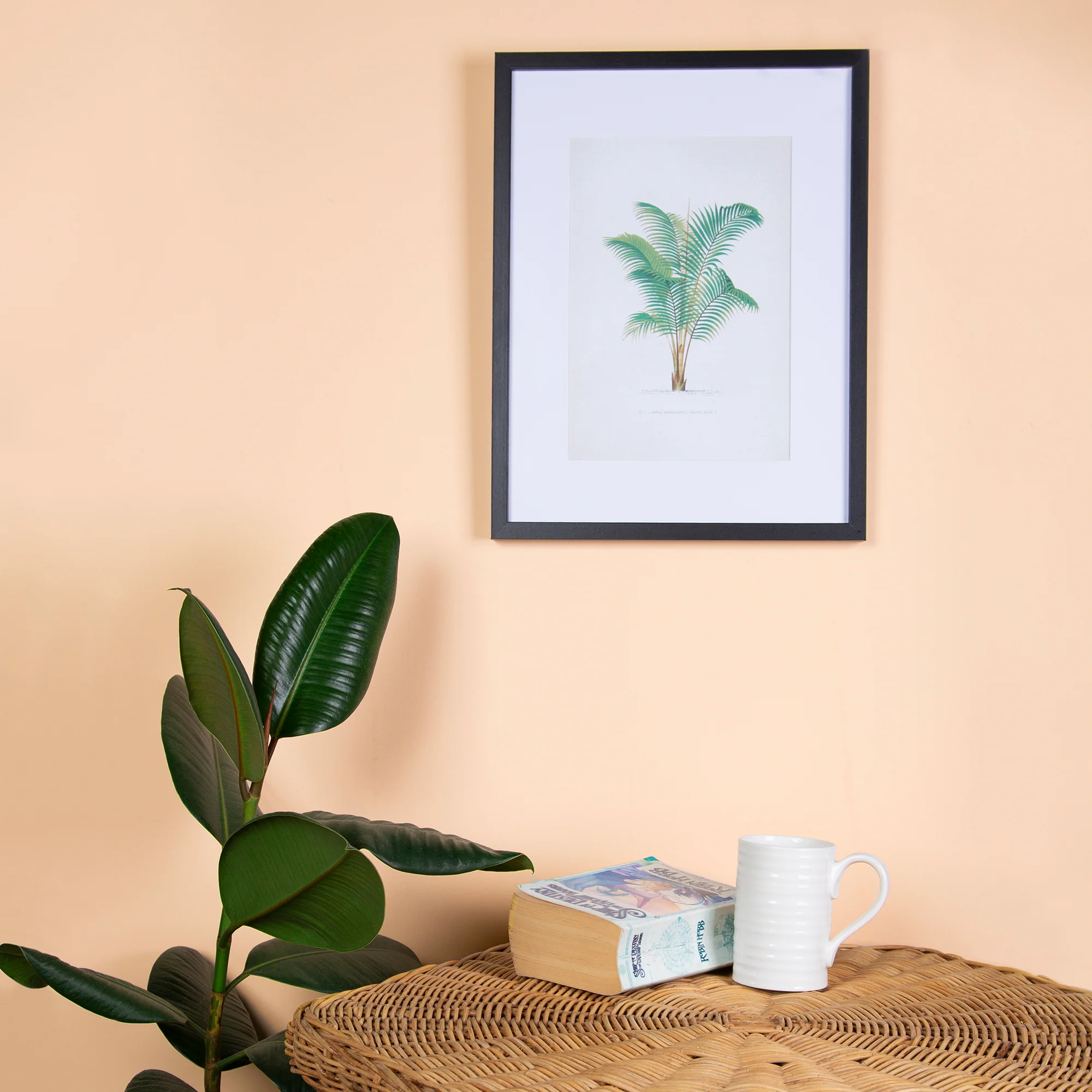 Little Knights - Cornfield Warm Apricot - Matte/Eggshell/Silk/Satin/Gloss Interior Paint - Image 3