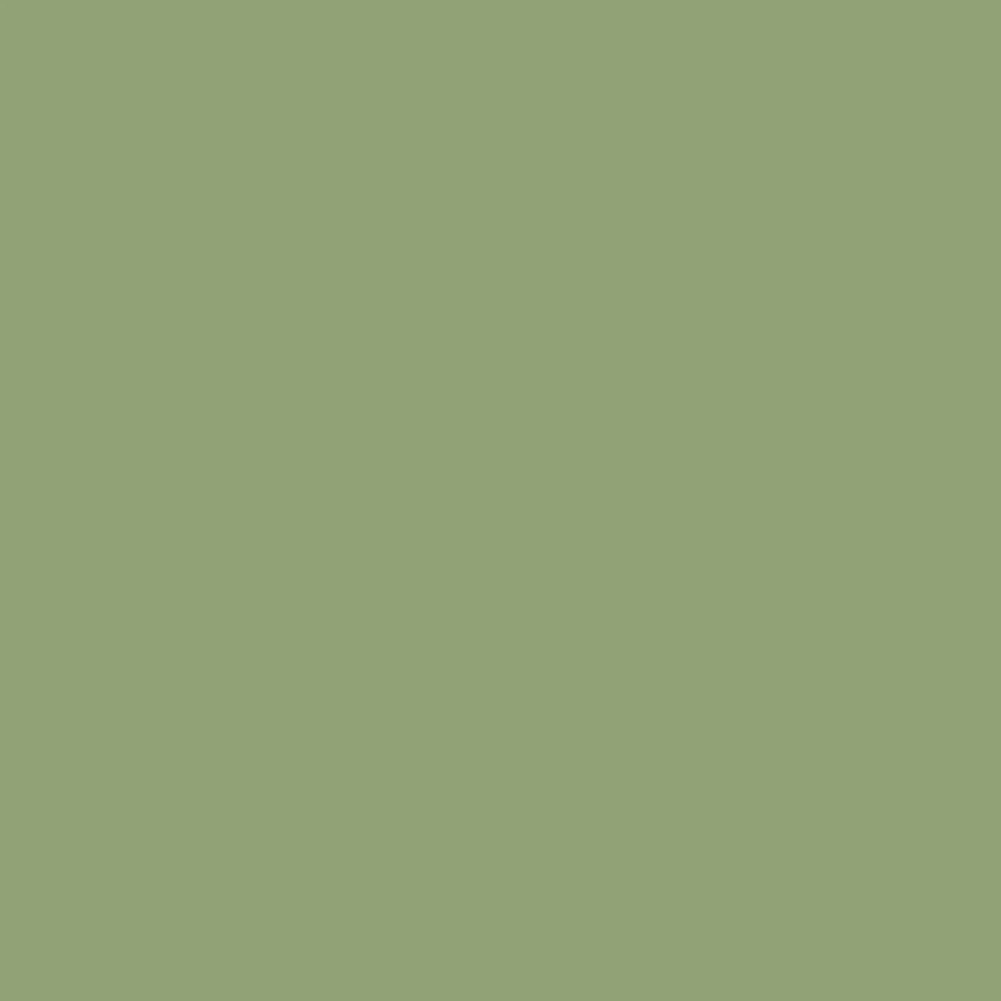Evergreen - Royal Interior Paint - Image 2