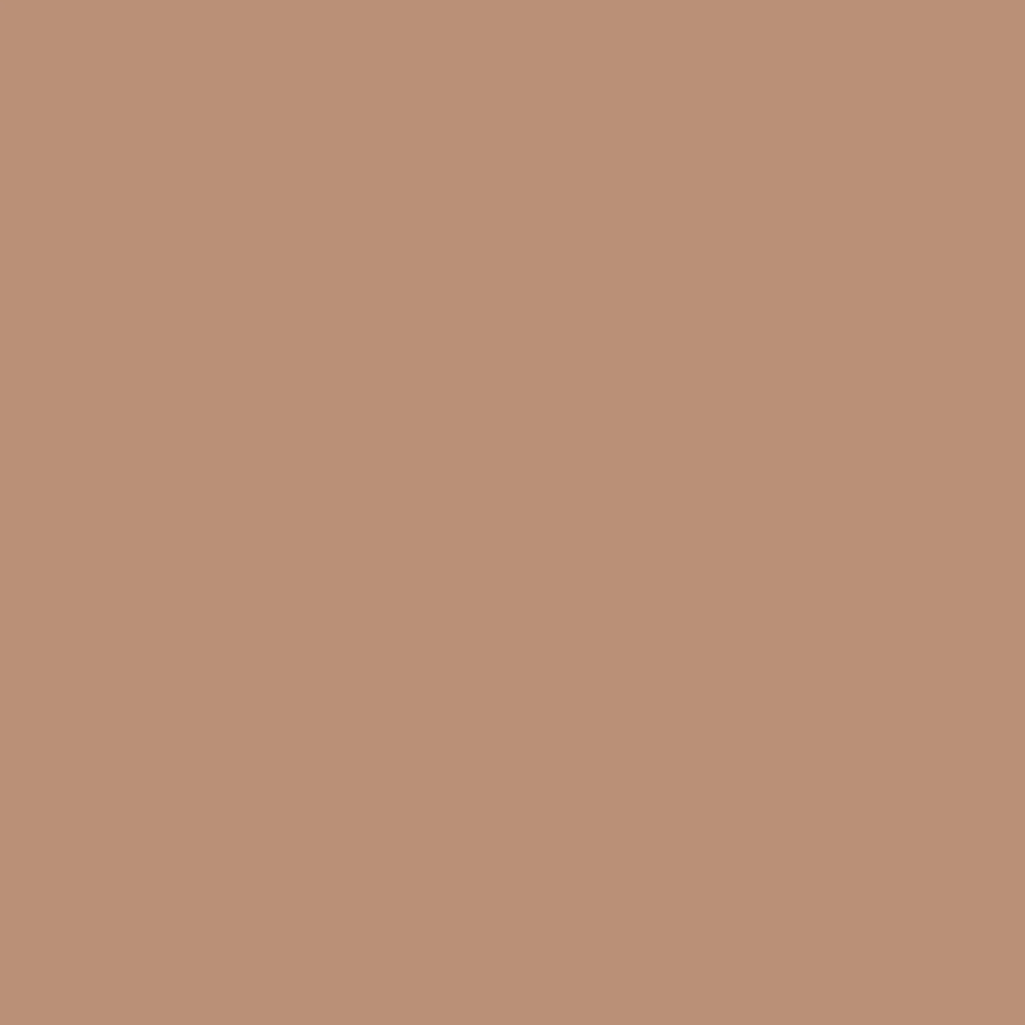 Faded Terracotta - Royal Interior Paint - Image 2