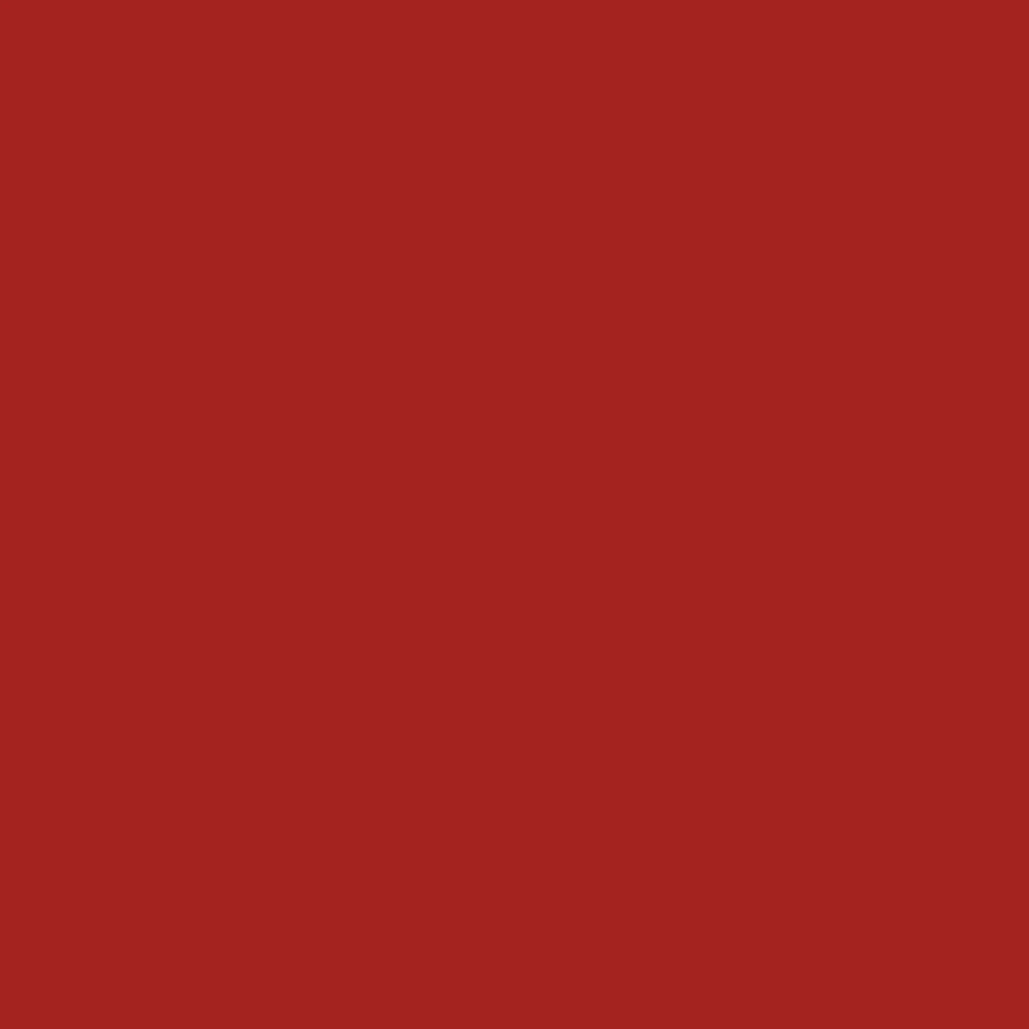 Fire Brick - Wood Stain & Protect - Image 2