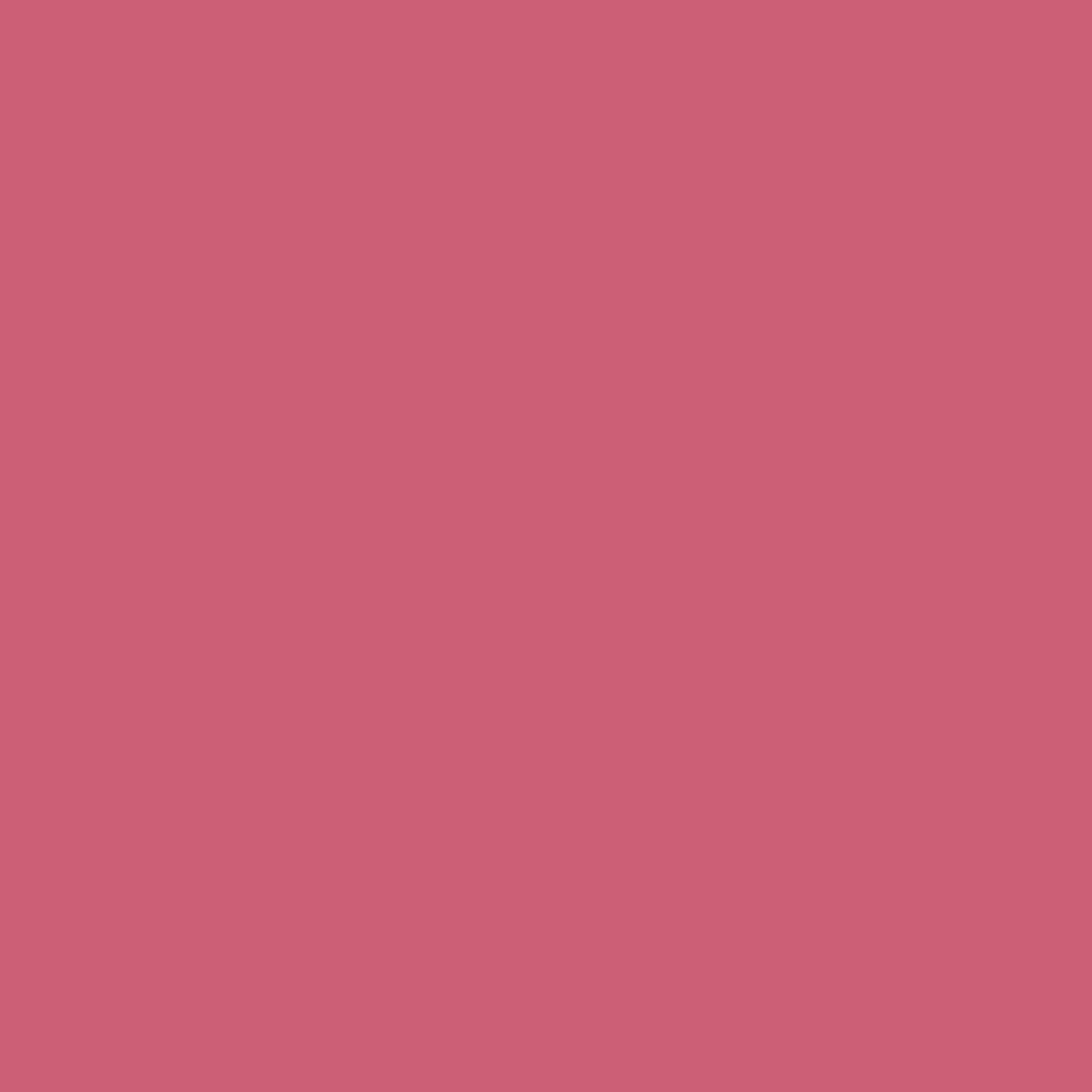 Fuchsia Pink - Royal Exterior Paint - Image 2