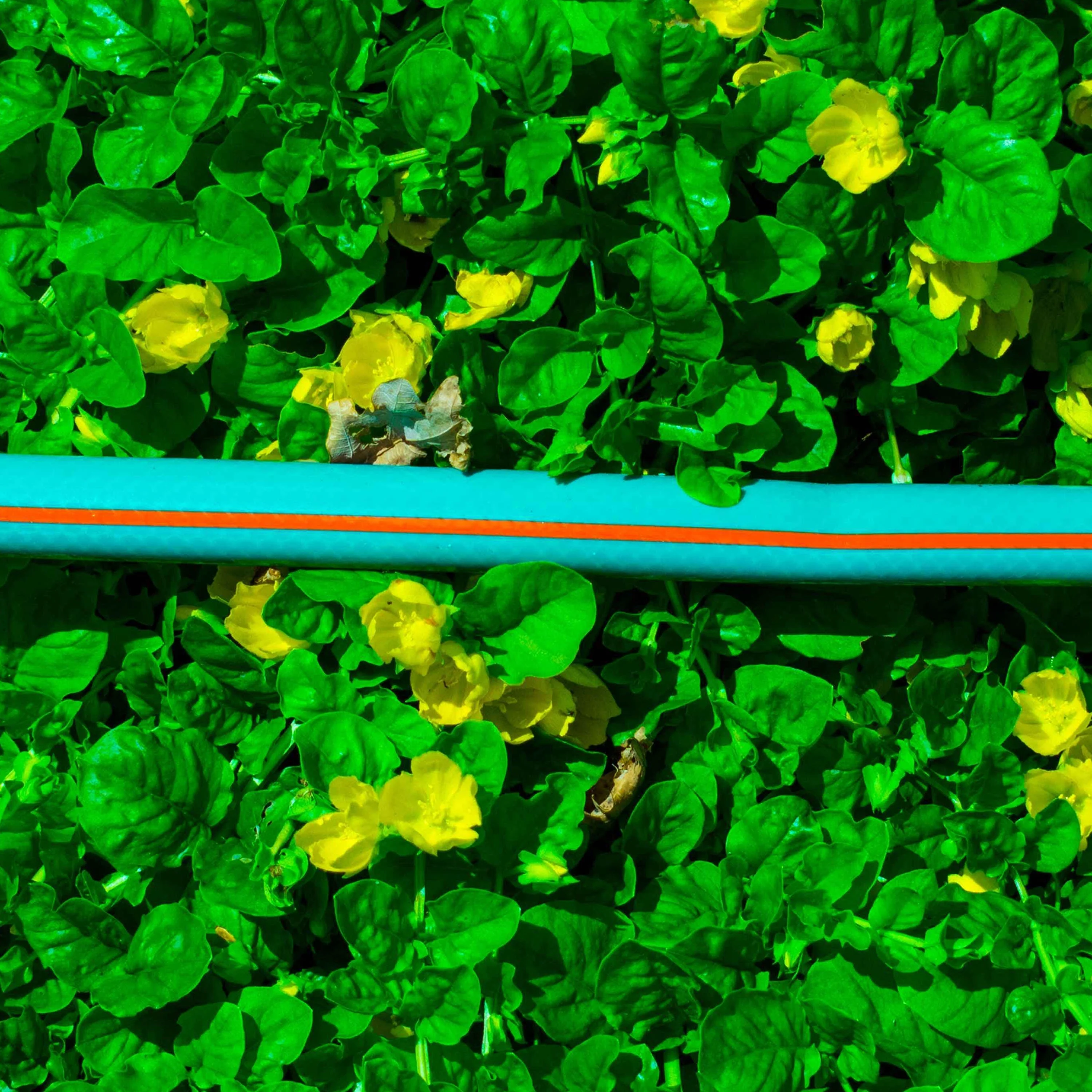 Garden Hose Economy 4-Layer 1/2" Pipe - Image 4