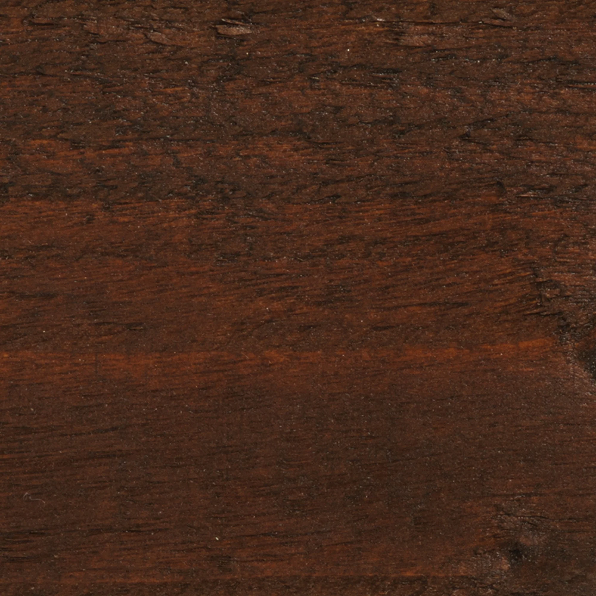 Golden Brown - Stable Coat Paint - Image 2