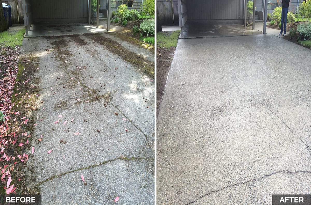 Hypo SuperFoam+ (Moss & Algae Remover) Softwash Solution - Image 6