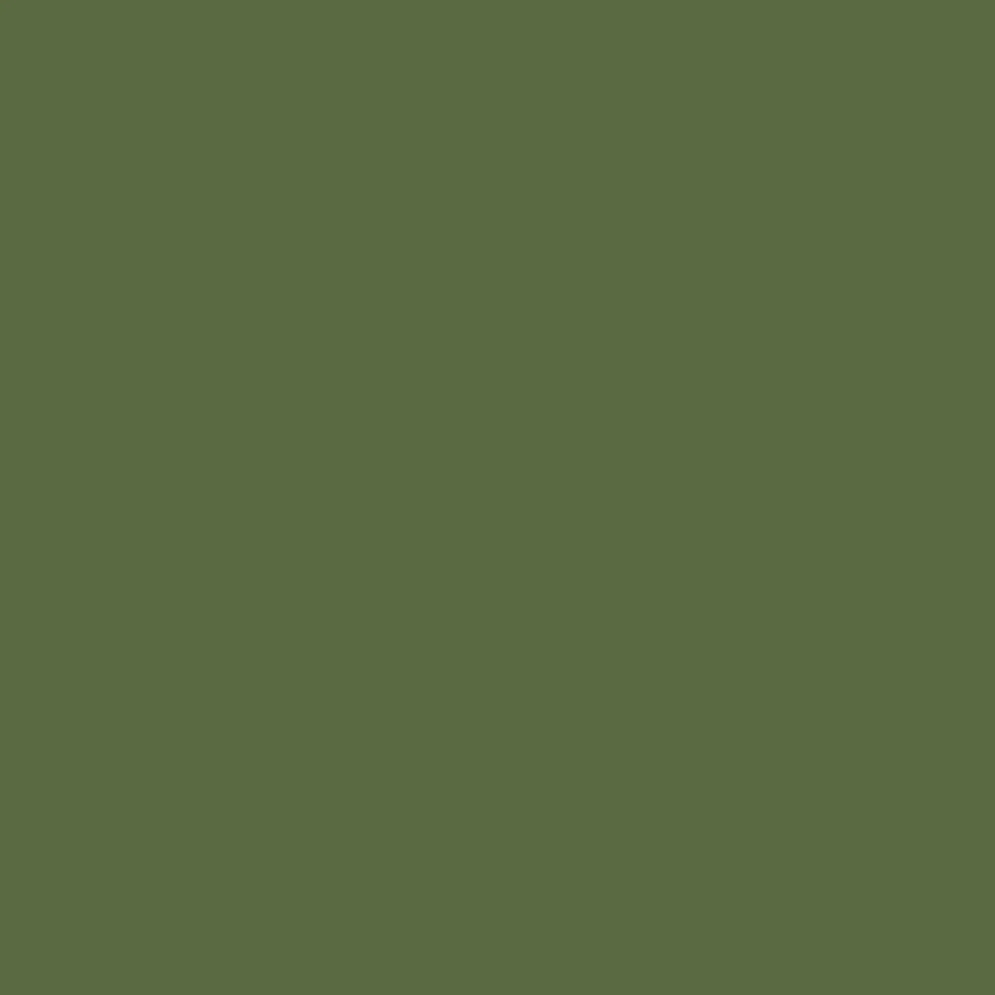 Jungle Green - Royal Exterior Paint - Image 2