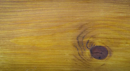 Kingfisher K-X10 5 Year Wood Stain for Exterior Timber - Image 10