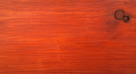 Kingfisher K-X10 5 Year Wood Stain for Exterior Timber - Image 6