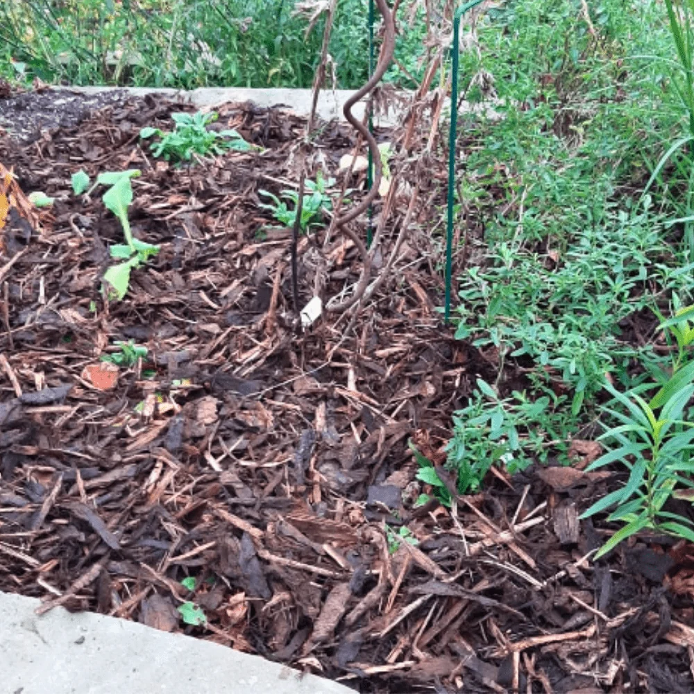 Landscaping Garden Bark Mulch - Image 7