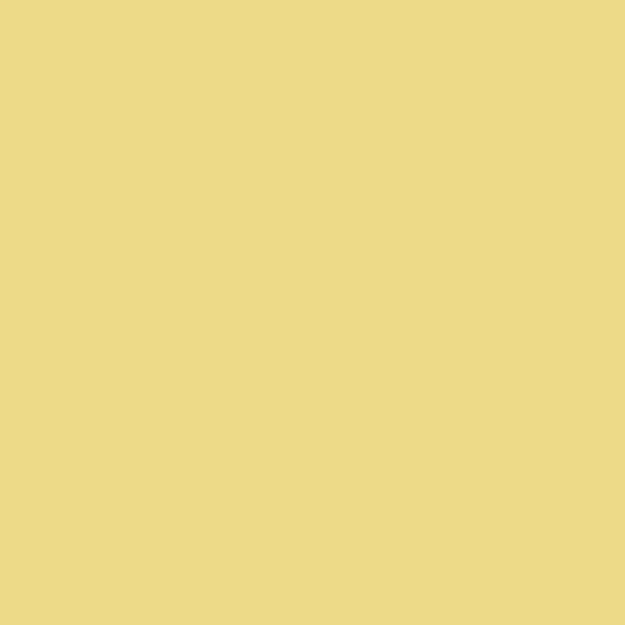 Lemon Yellow - Royal Interior Paint - Image 2
