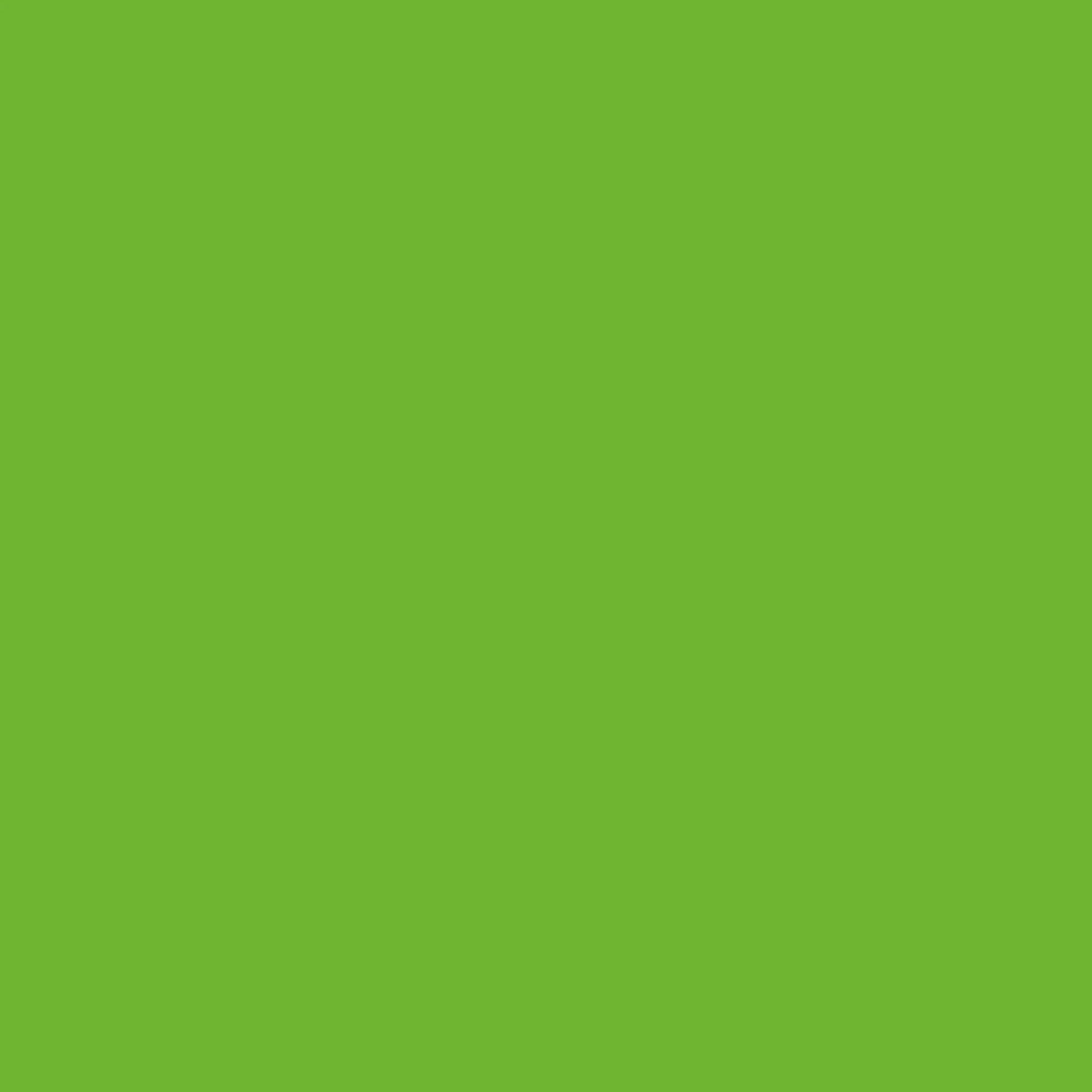 Lime Green - Royal Interior Paint - Image 2