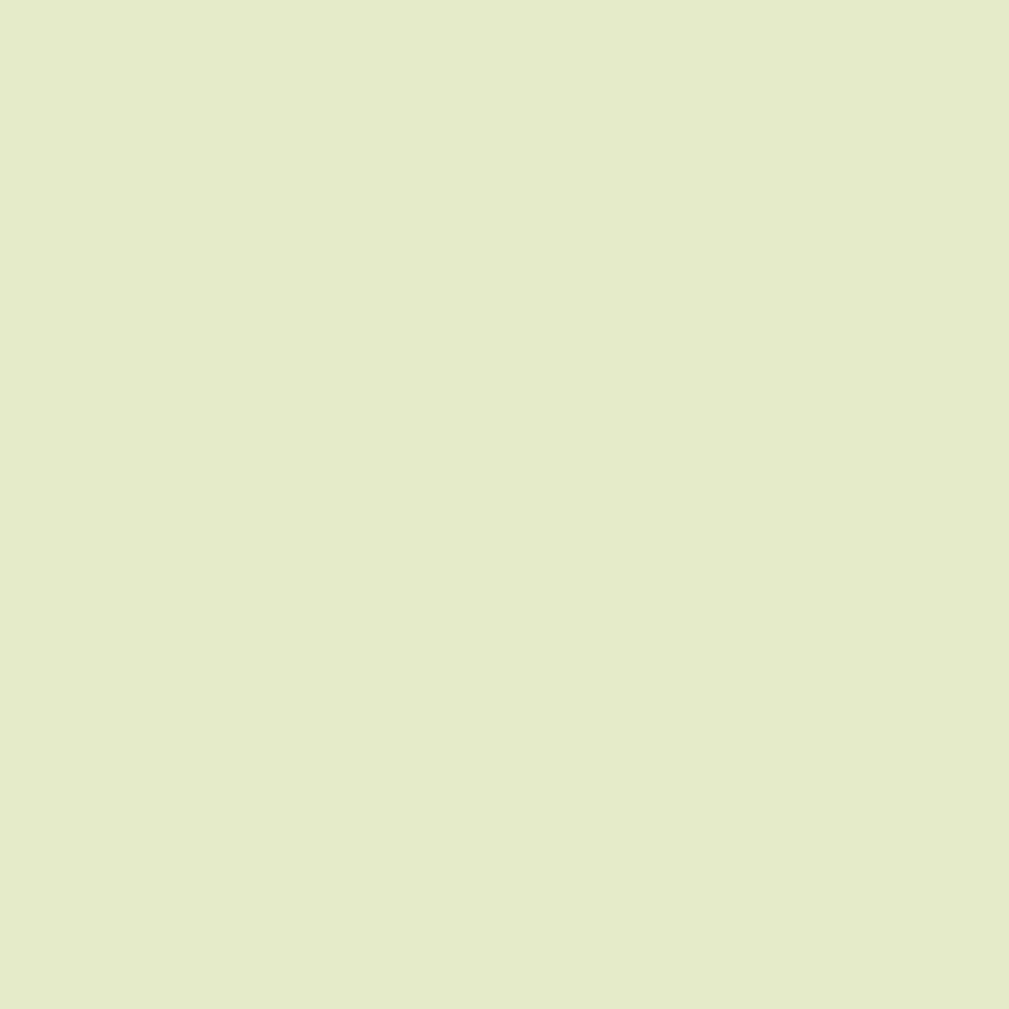 Lime White - Royal Interior Paint - Image 2