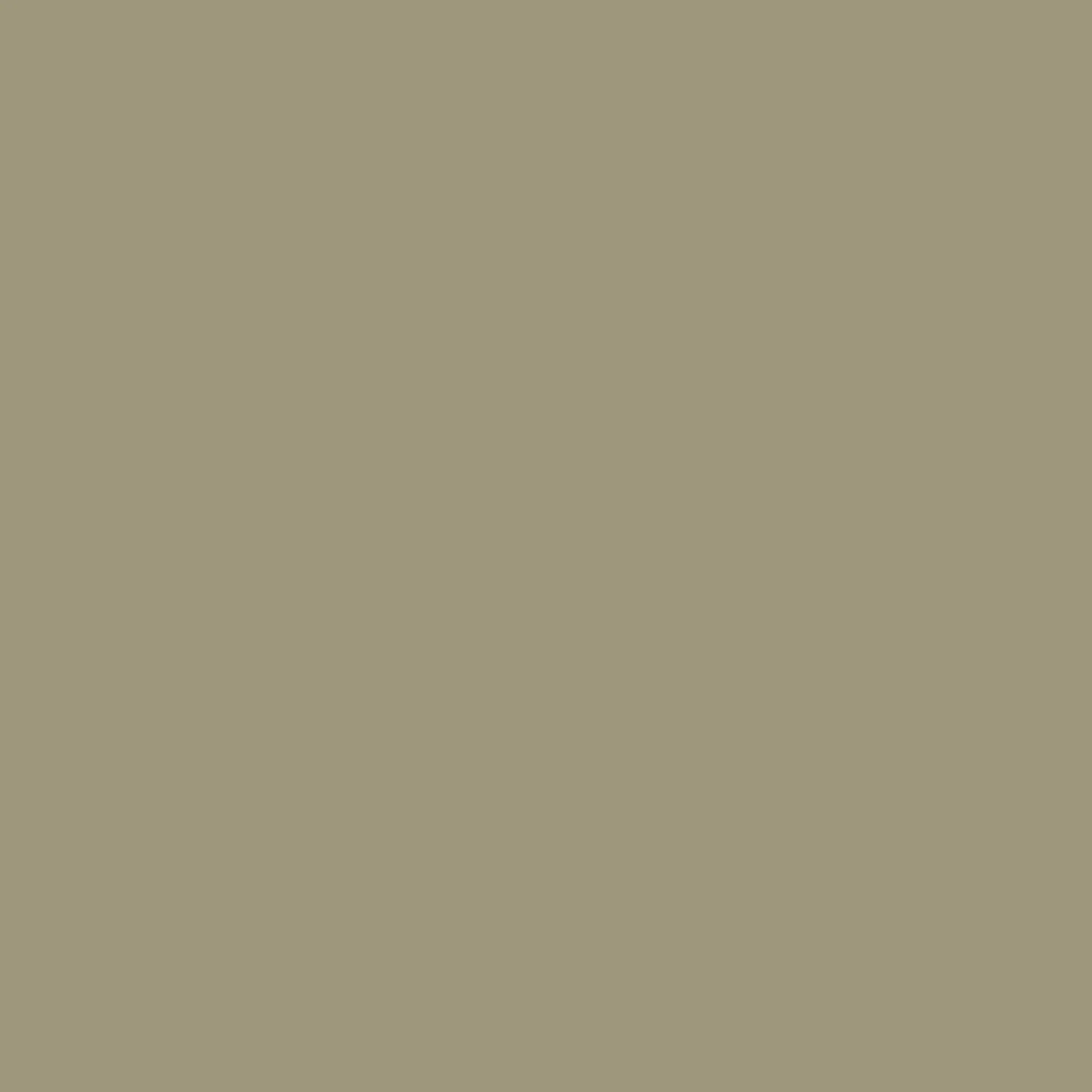Mushroom - Royal Interior Paint - Image 2