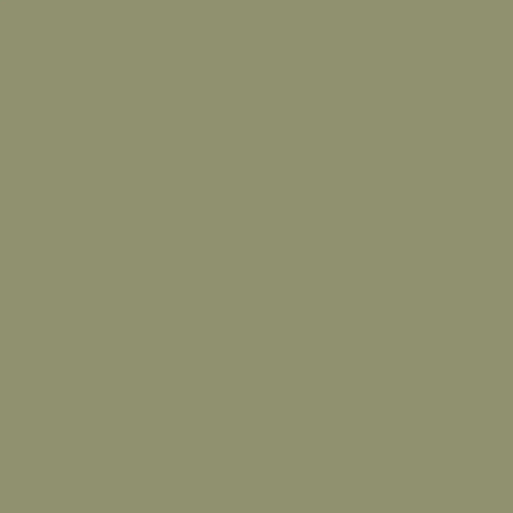 Olive Green - Royal Interior Paint - Image 2