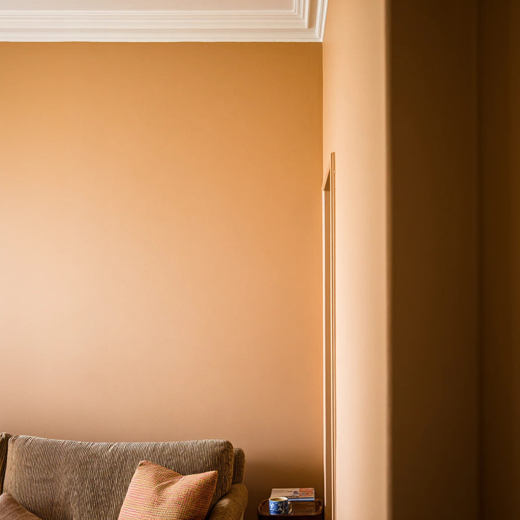 Little Knights - Ollies Orange Bright & Playful - Matte/Eggshell/Silk/Satin/Gloss Interior Paint - Image 3
