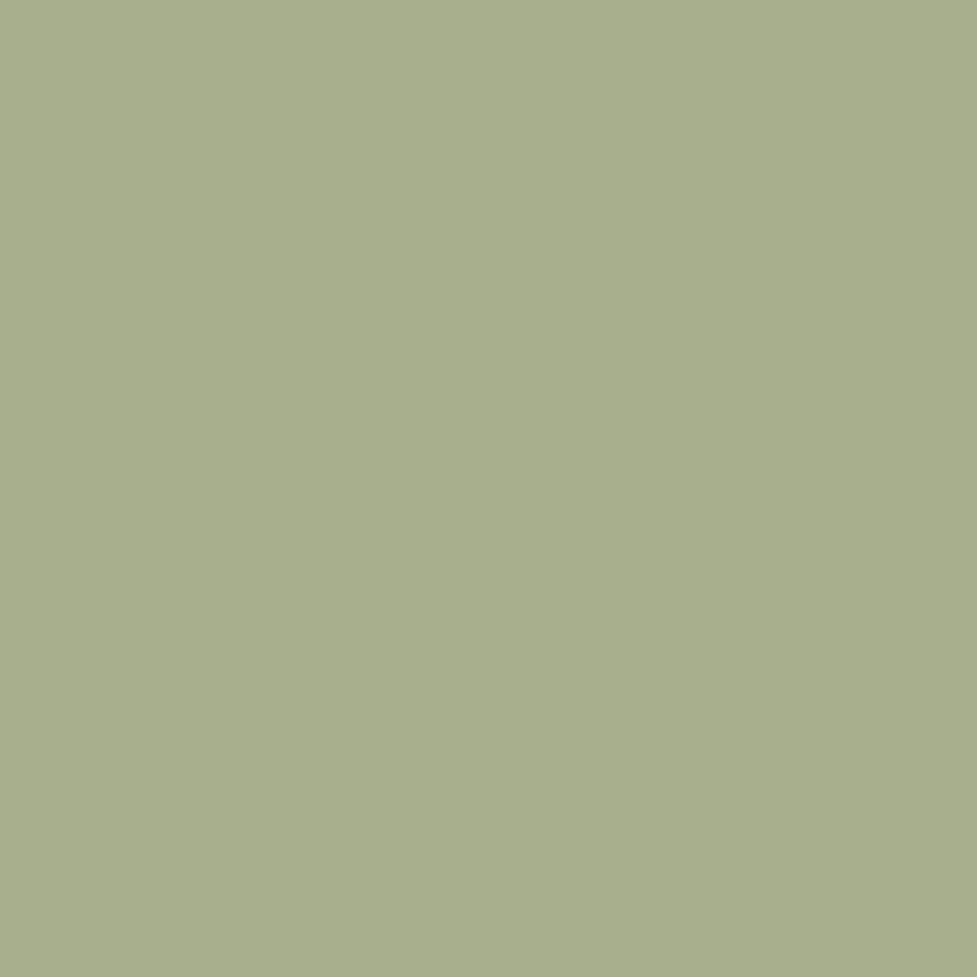 Pond Green - Royal Interior Paint - Image 2