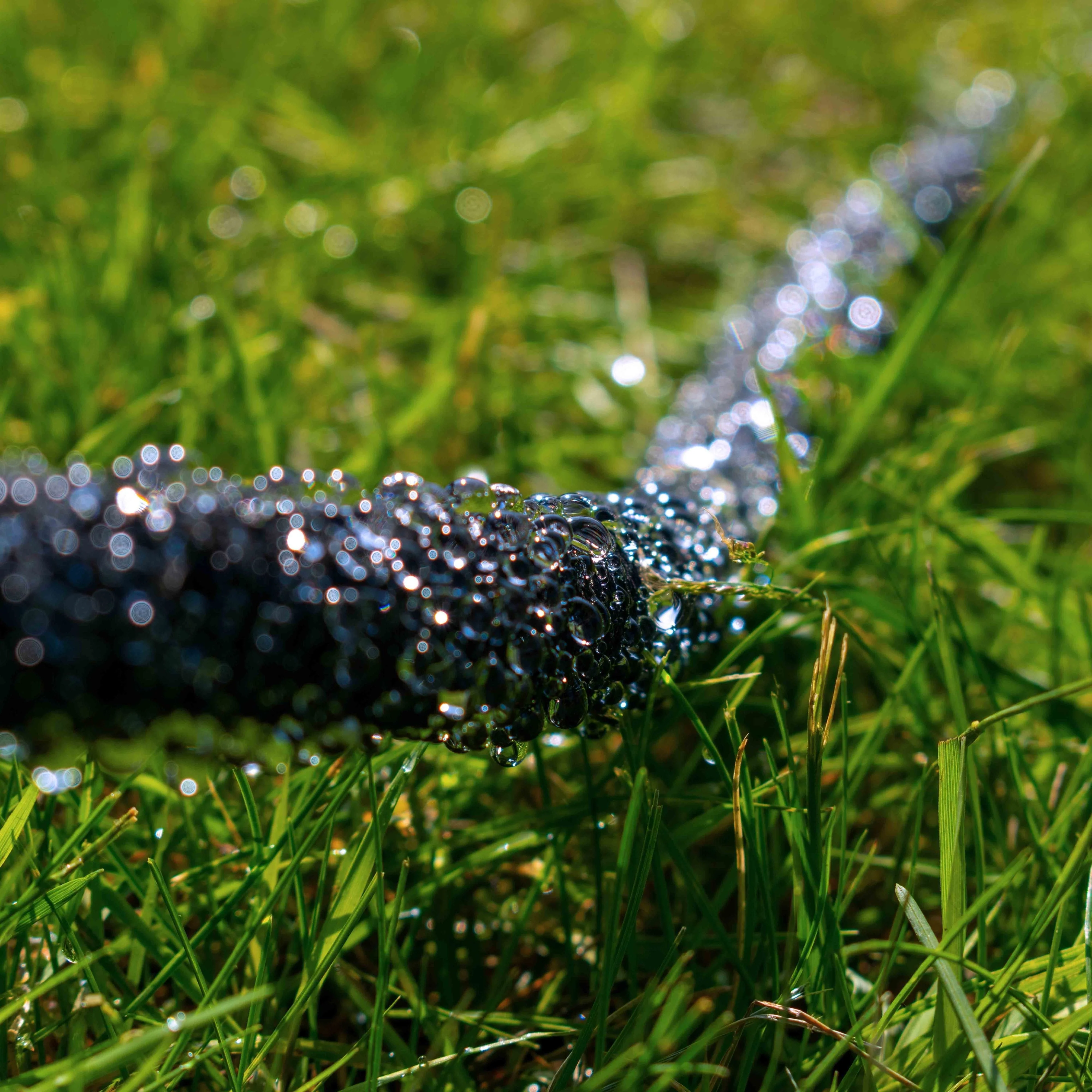 Porous Pipe Soaker Hose Cost Wise 100m - Image 10