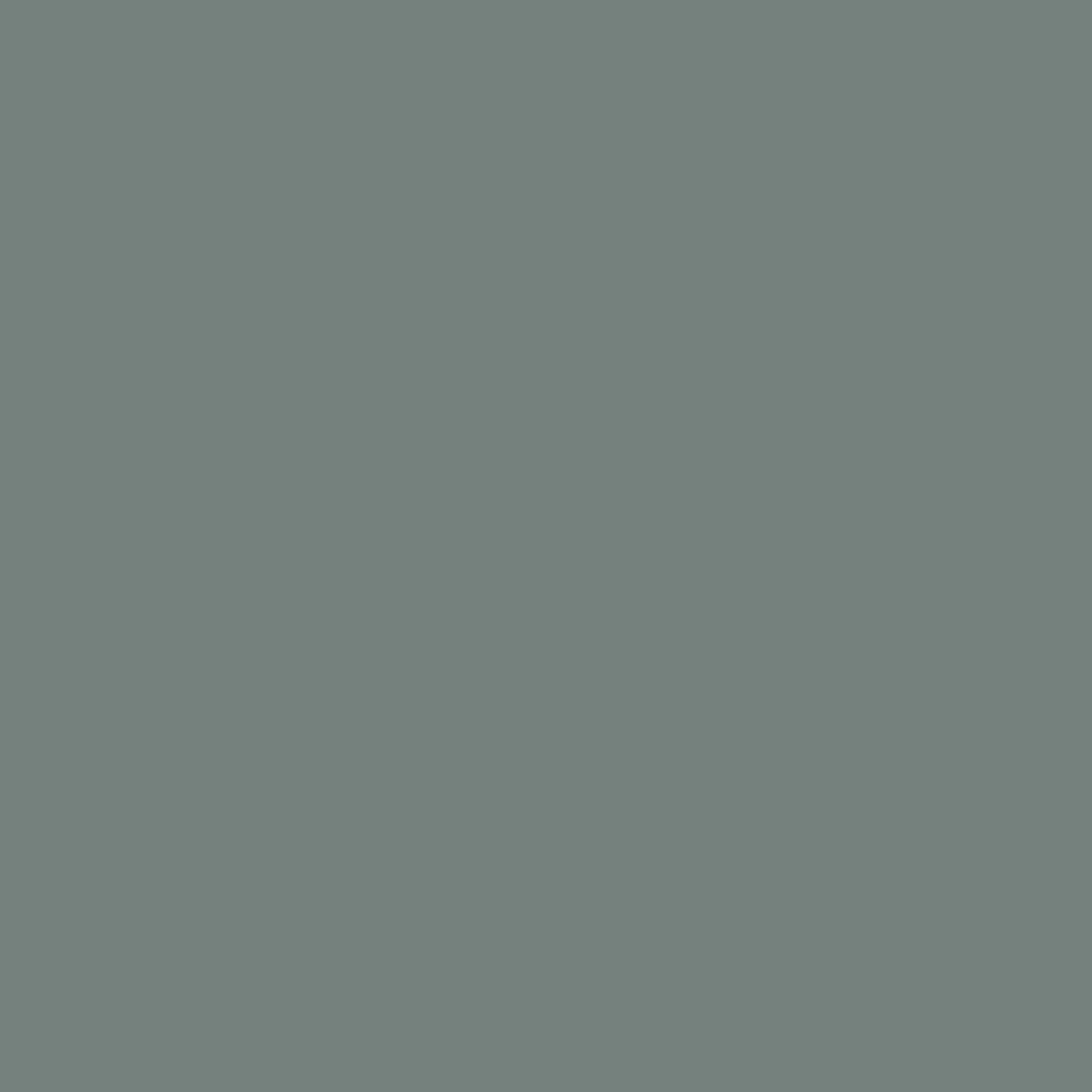 Priddy Pools - Royal Interior Paint - Image 2