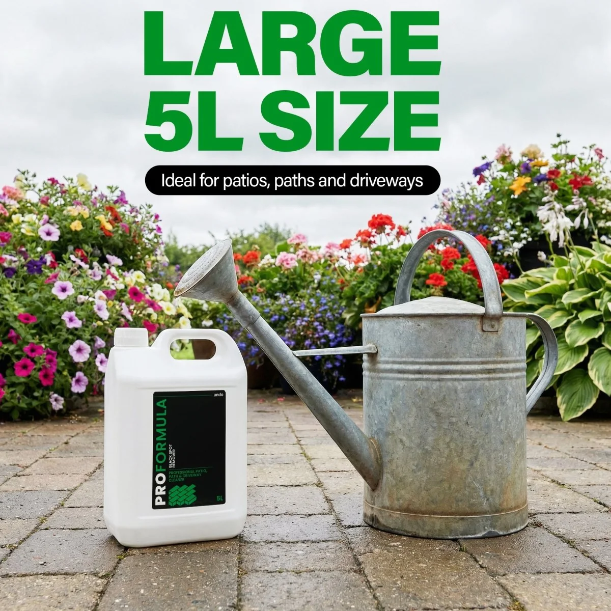 Proformula - Black Spot Remover | Patio, Path & Driveway Cleaner (5L) - Image 6