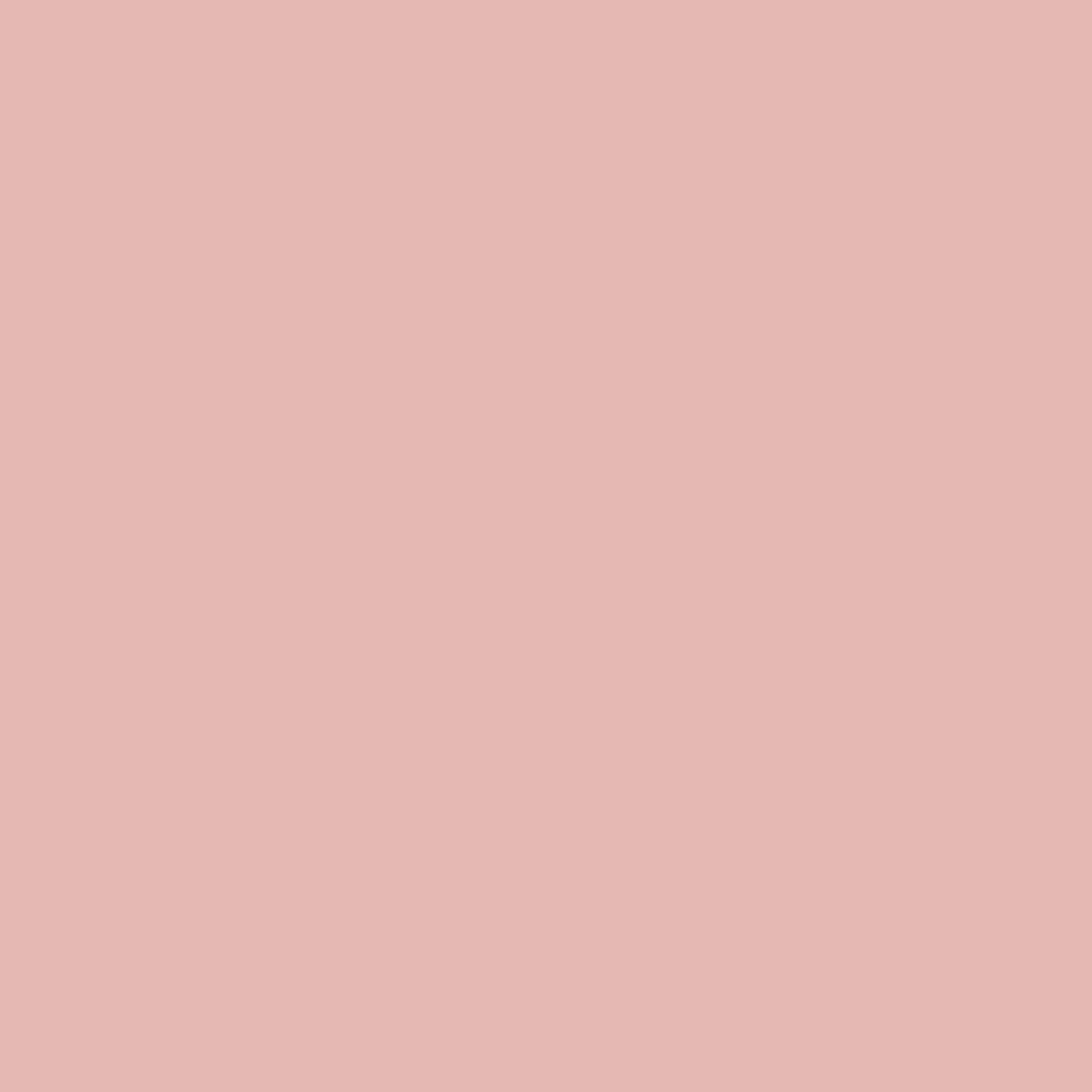 Rose Pink - Royal Interior Paint - Image 2