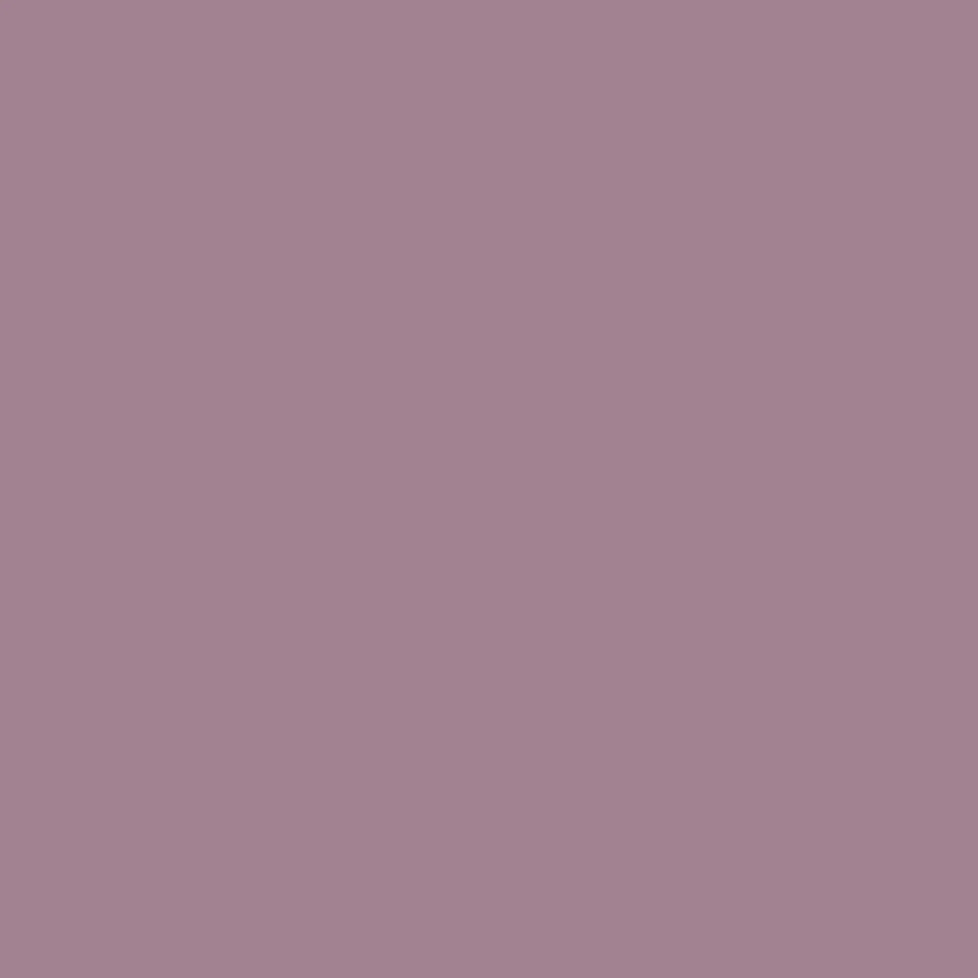 Rose Taupe - Royal Interior Paint - Image 2