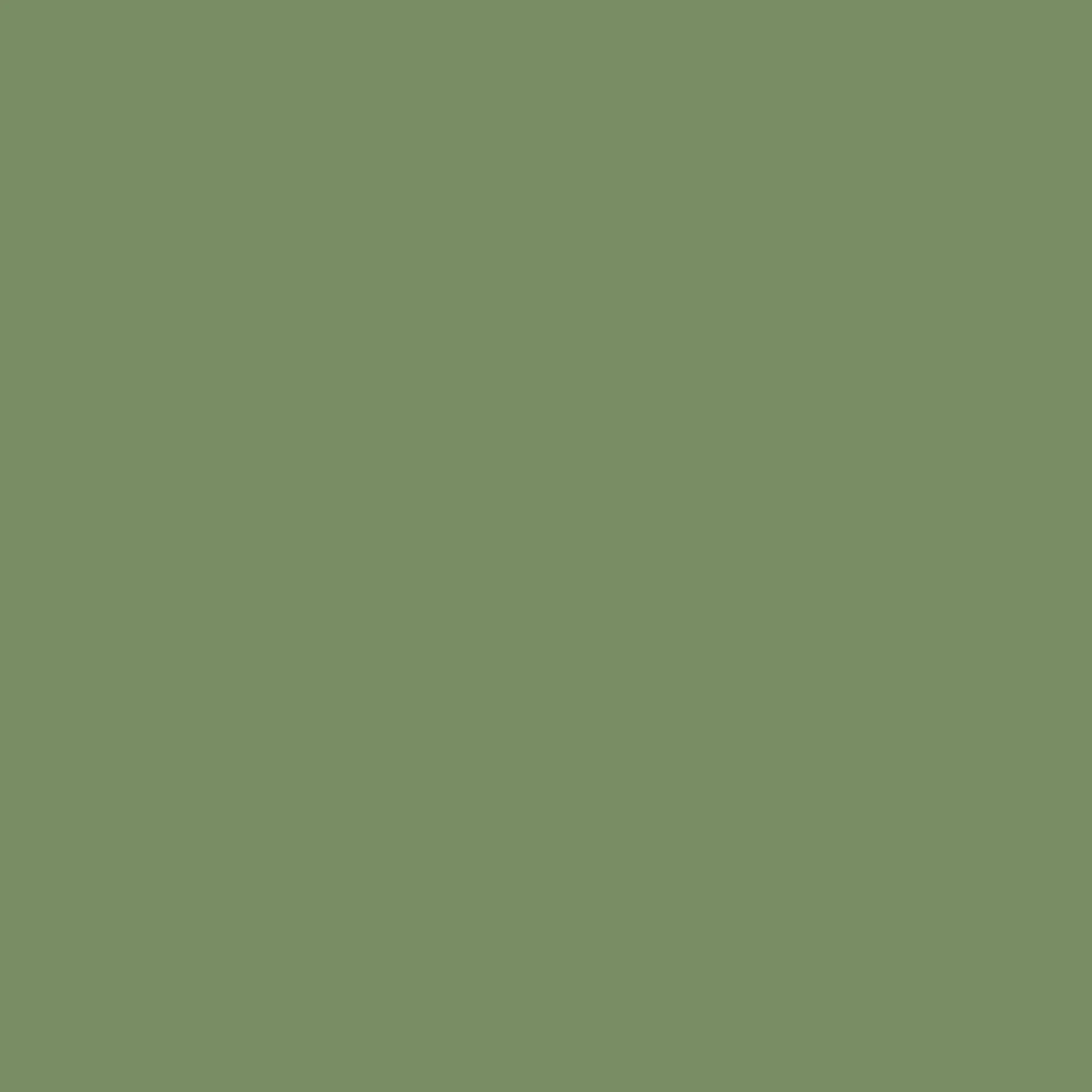 Sage Leaf - Royal Interior Paint - Image 2