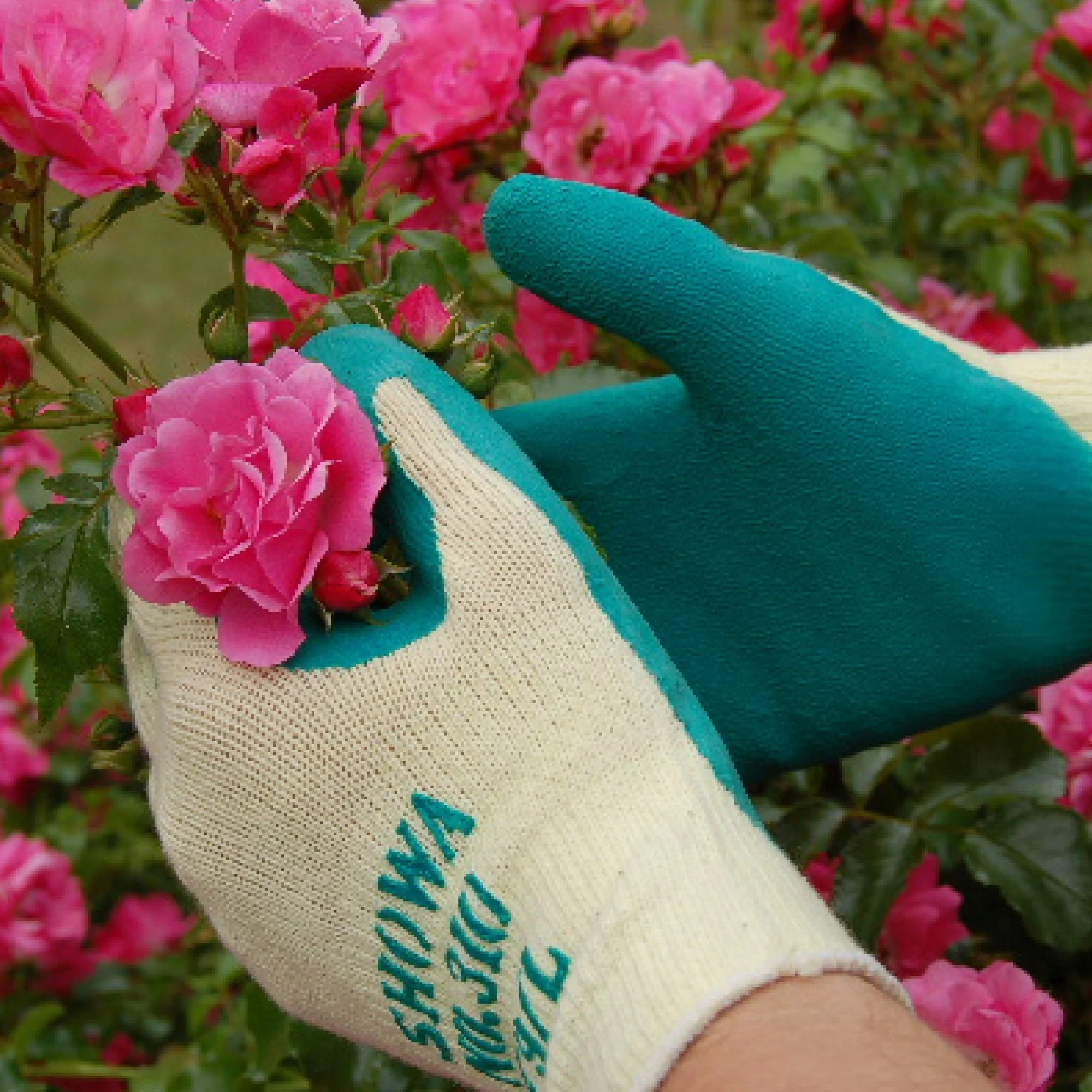 SHOWA 310 Builders Safety Work Gloves with Textured Grip in Green - Image 2