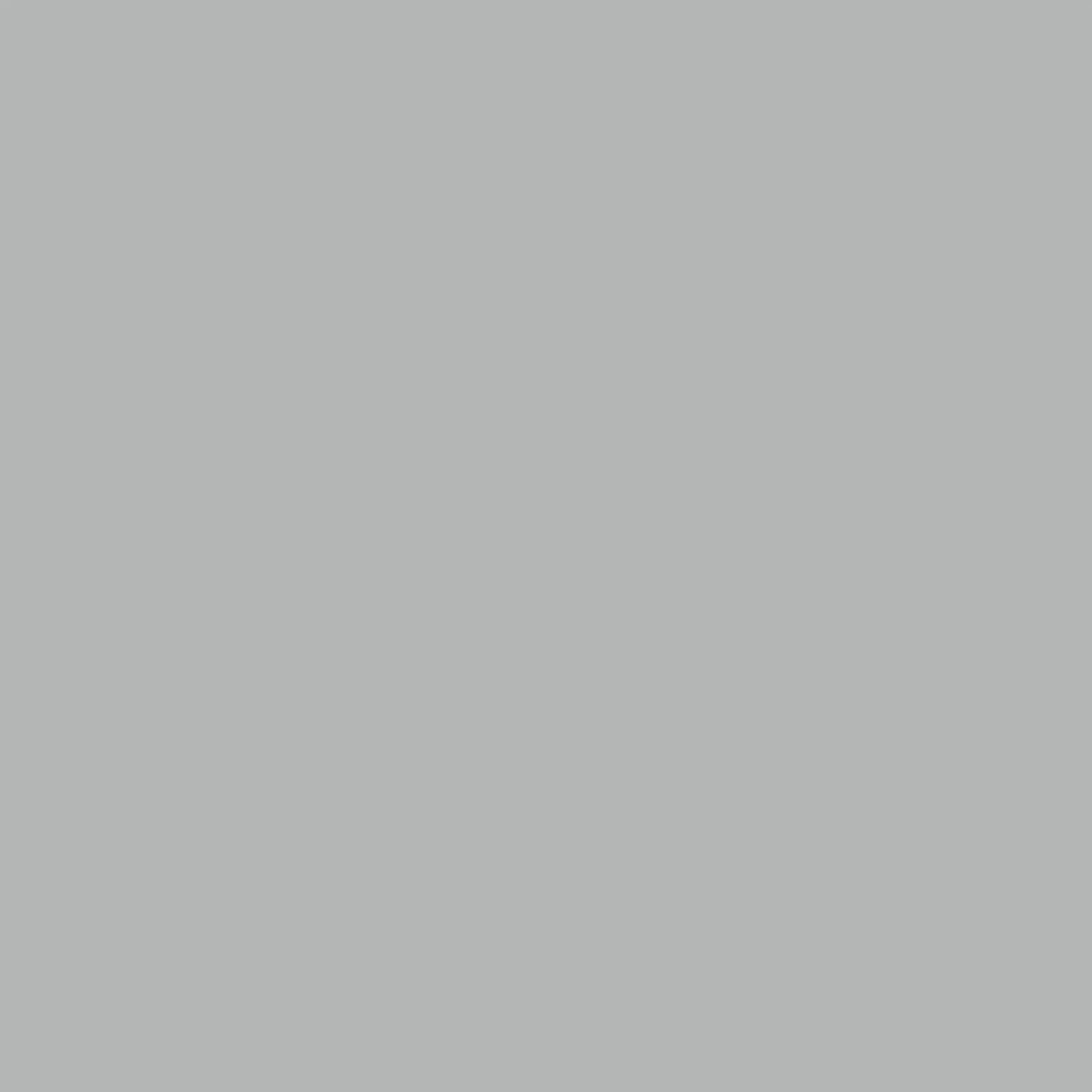 Silver Grey - Royal Interior Paint - Image 2