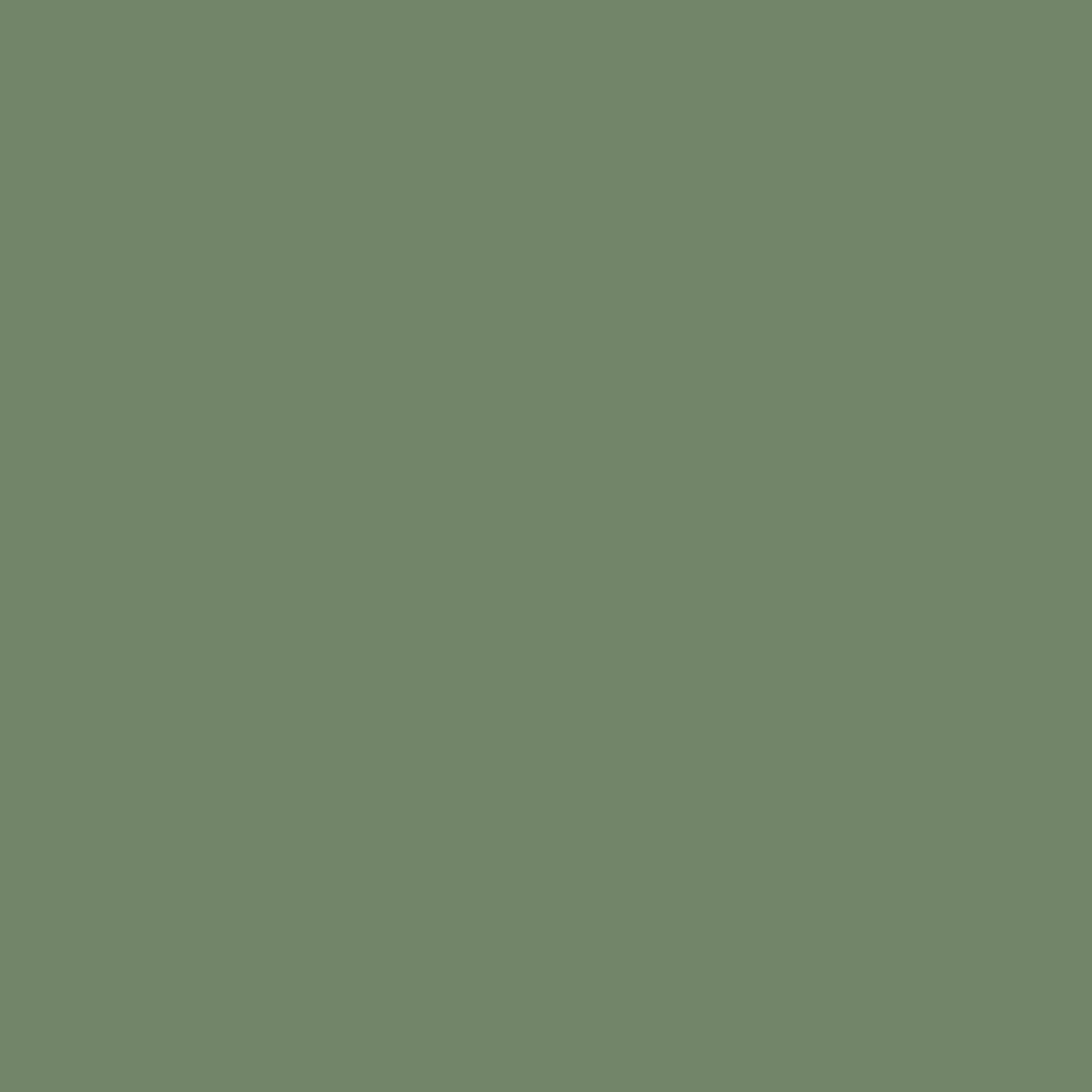 Soft Sage - Wood Stain & Protect - Image 2