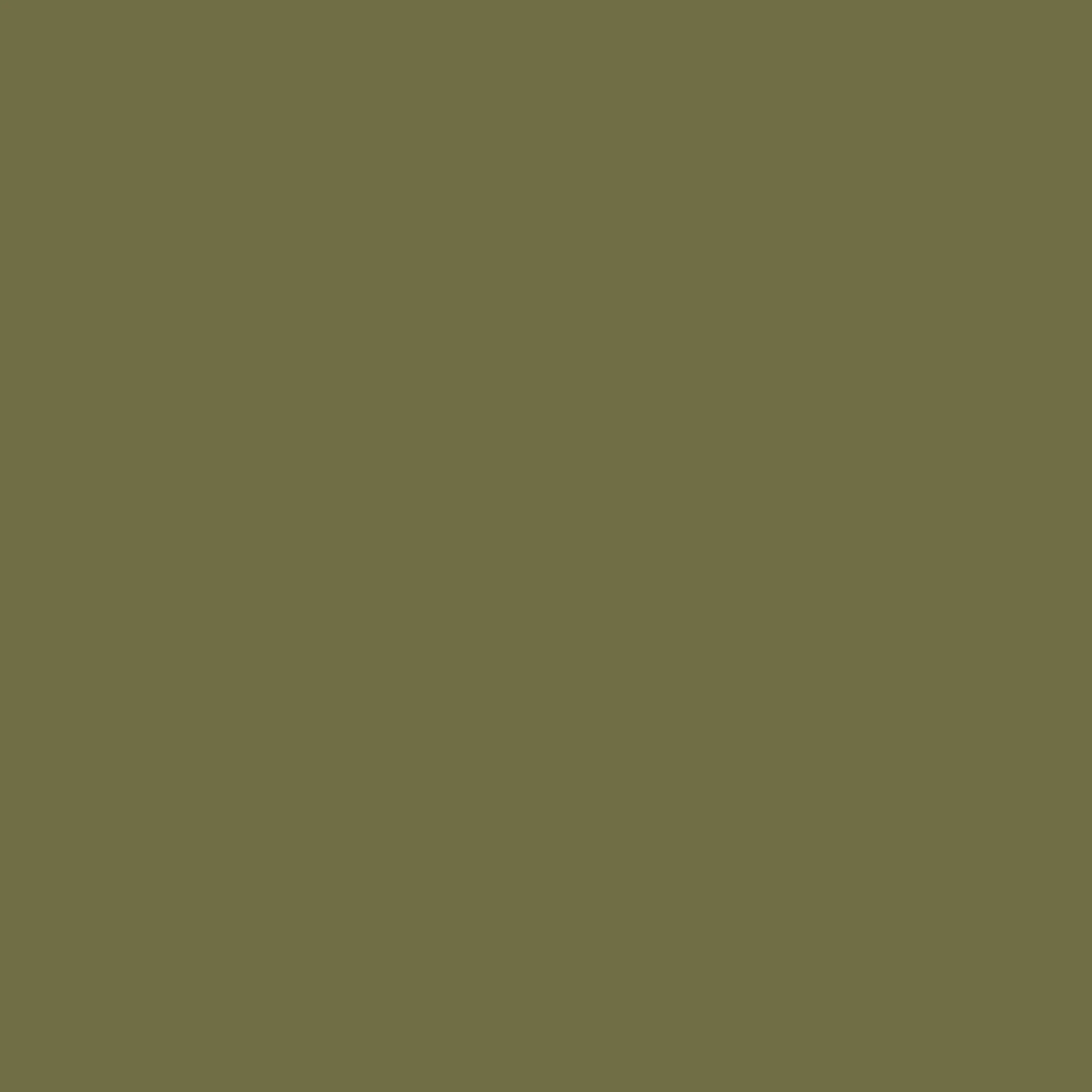 Verdant - Royal Interior Paint - Image 2