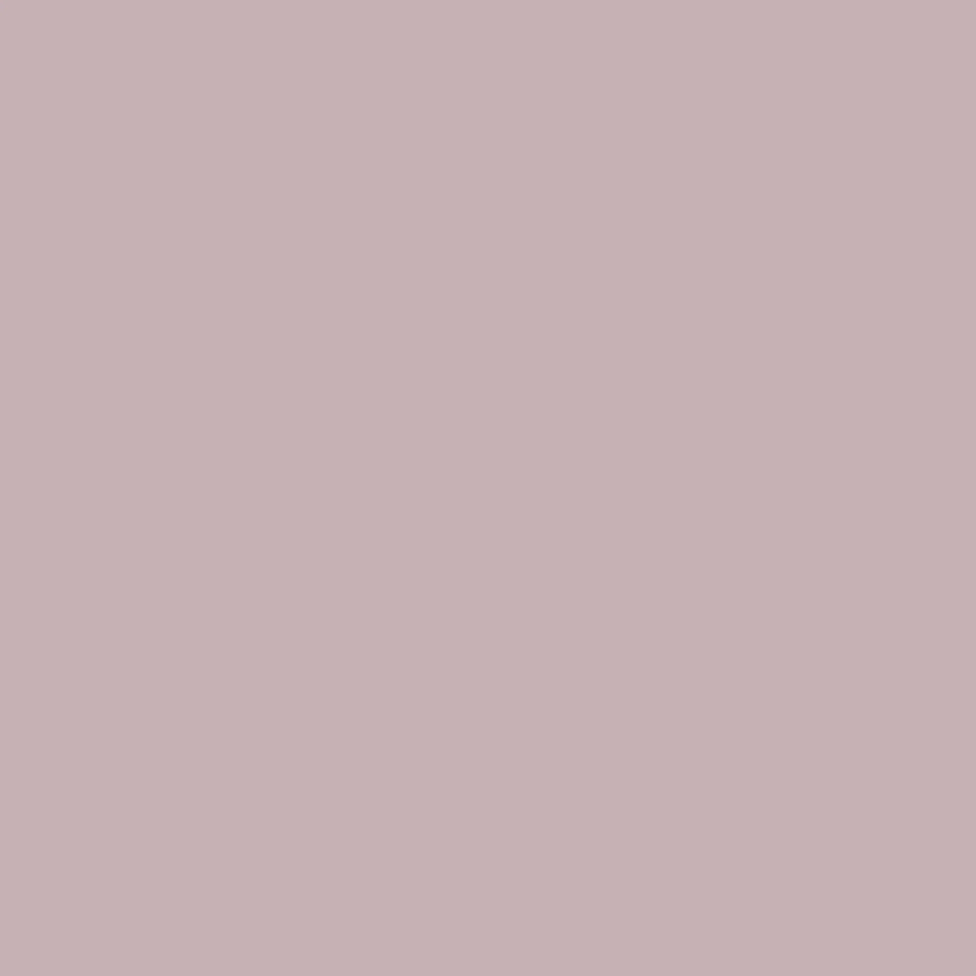 Winter Sky - Royal Interior Paint - Image 2