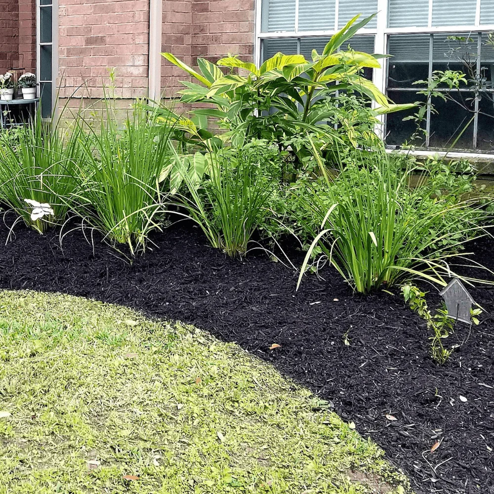 Wintermix Compost Garden Mulch - Image 5